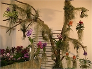 200801-Berti Geburtstag-Fruehling021